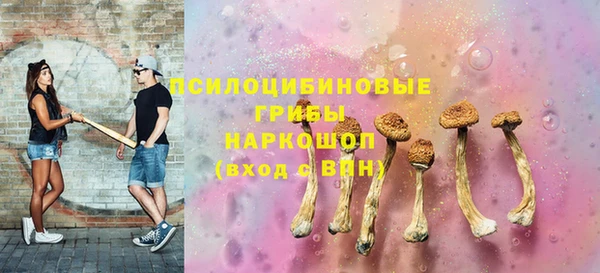 винт Аркадак